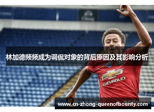 林加德频频成为调侃对象的背后原因及其影响分析