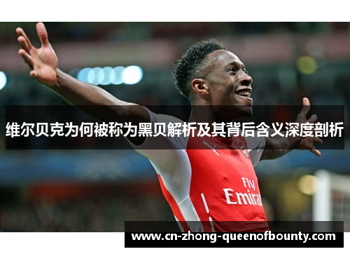 维尔贝克为何被称为黑贝解析及其背后含义深度剖析