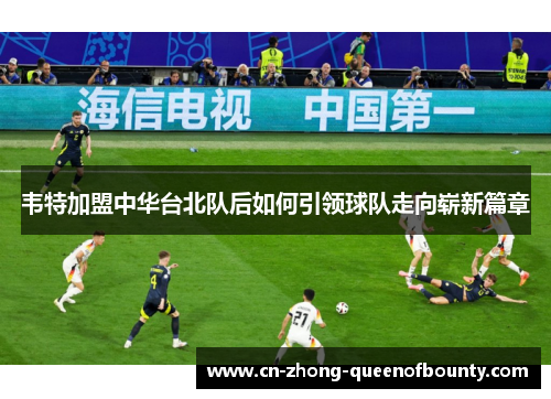 韦特加盟中华台北队后如何引领球队走向崭新篇章